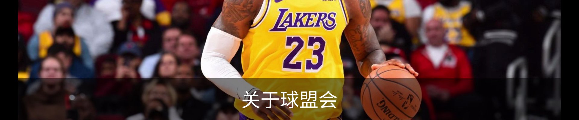 关于球盟会